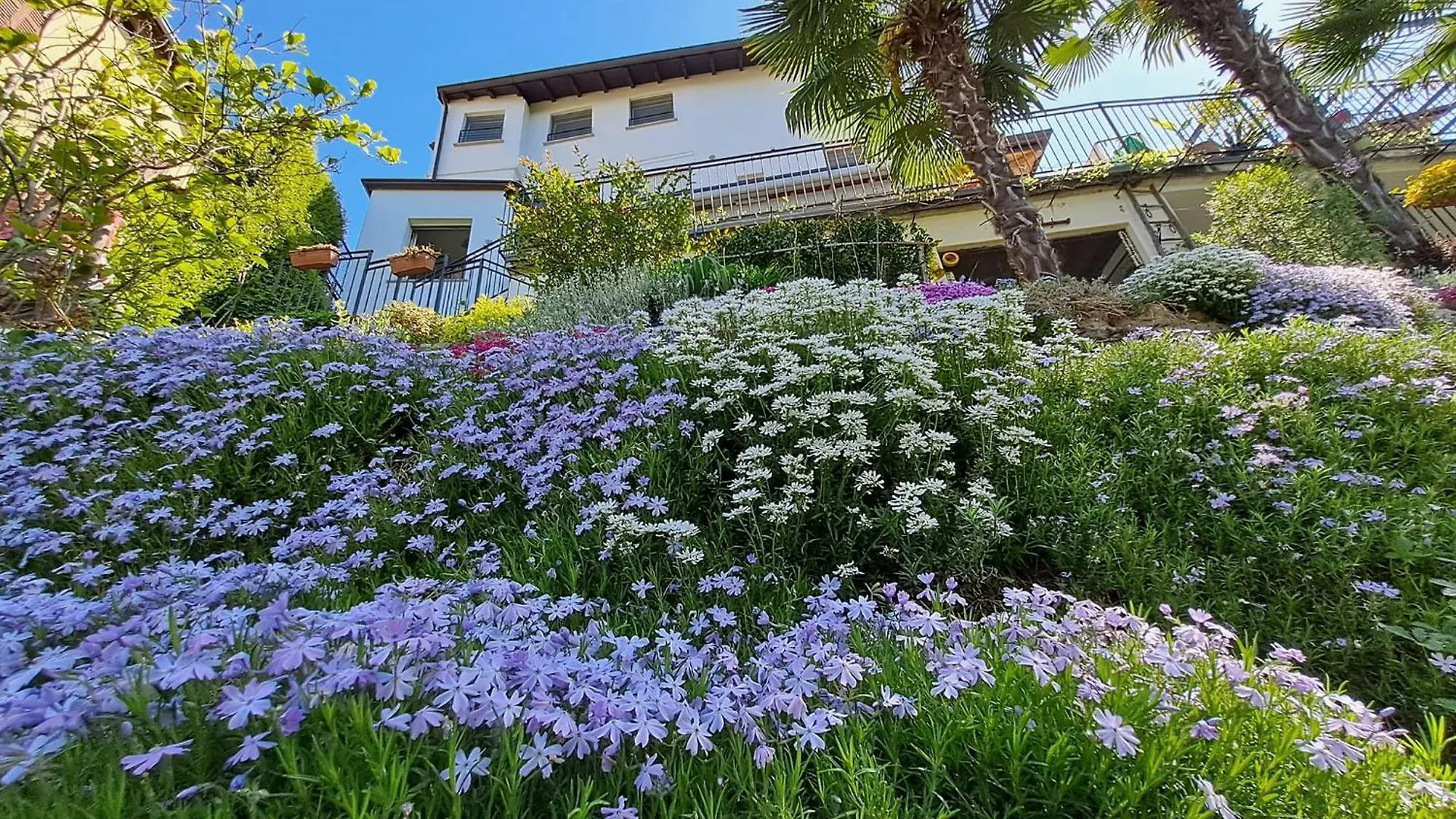 Al Nifontano B&B - Ideal For Family Or Couples - 2 Rooms - Lakeview Varèse Couette-café